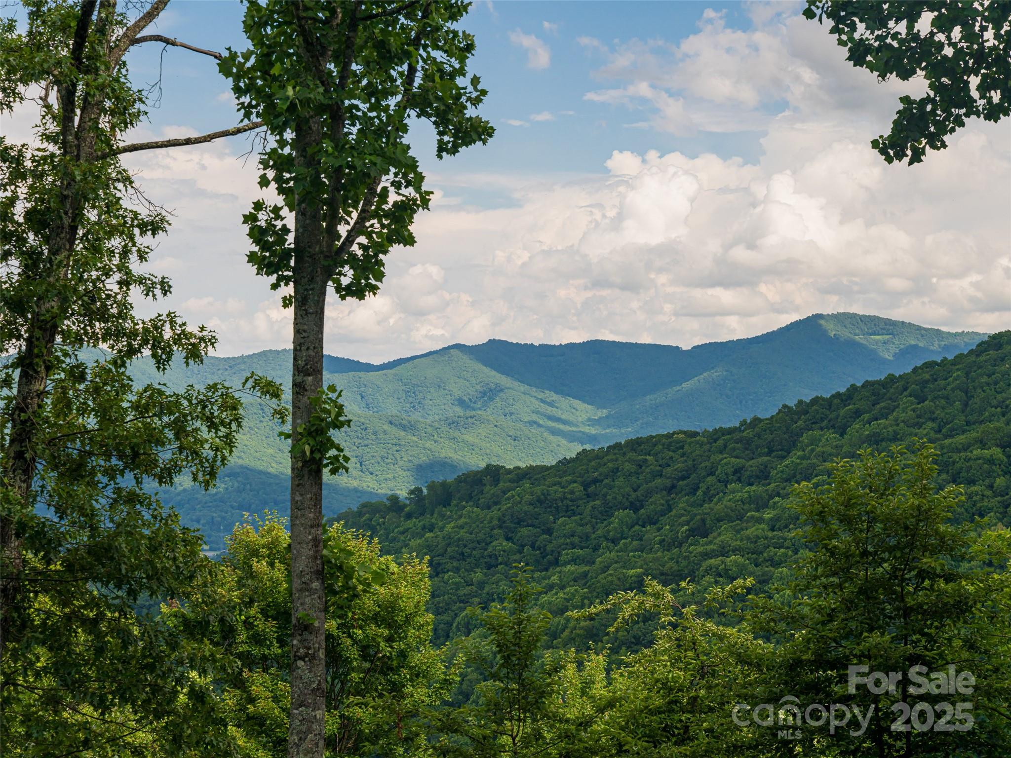 130 Bluff Creek Terrace — Candler