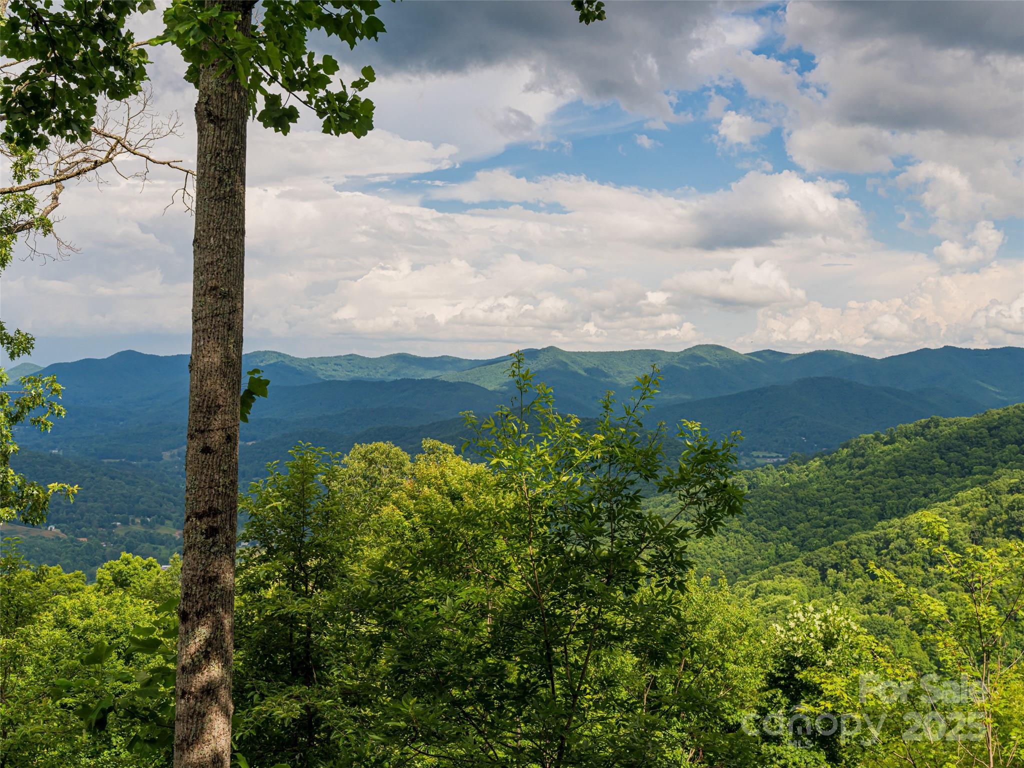 130 Bluff Creek Terrace — Candler