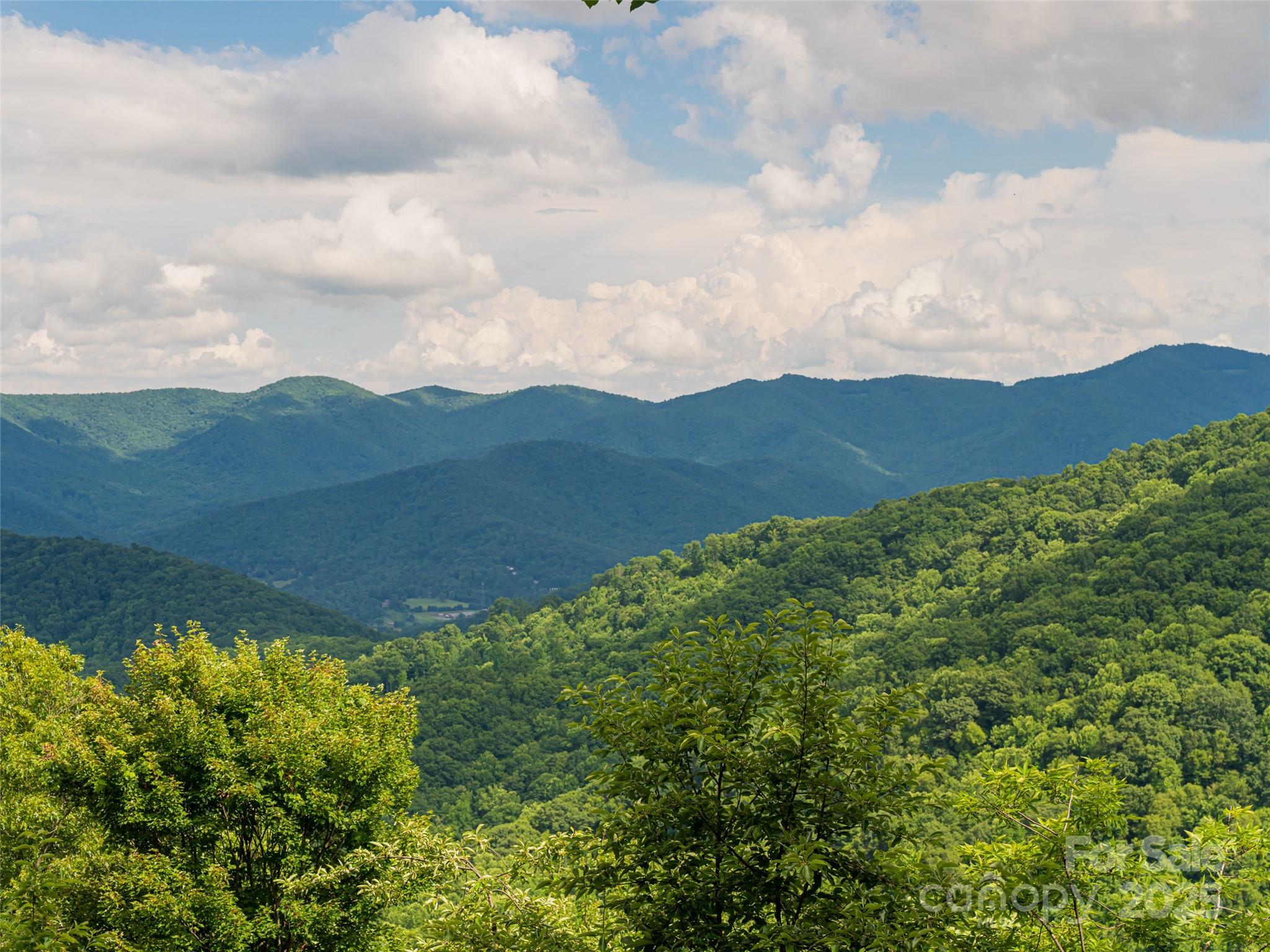 130 Bluff Creek Terrace — Candler