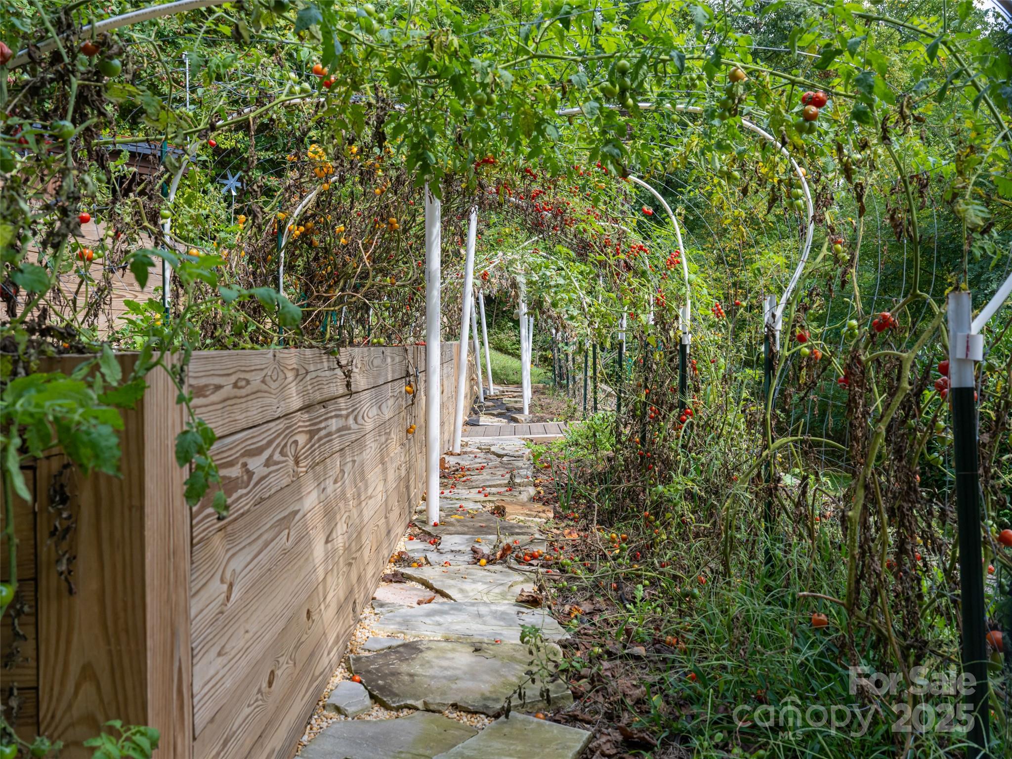 130 Bluff Creek Terrace — Candler