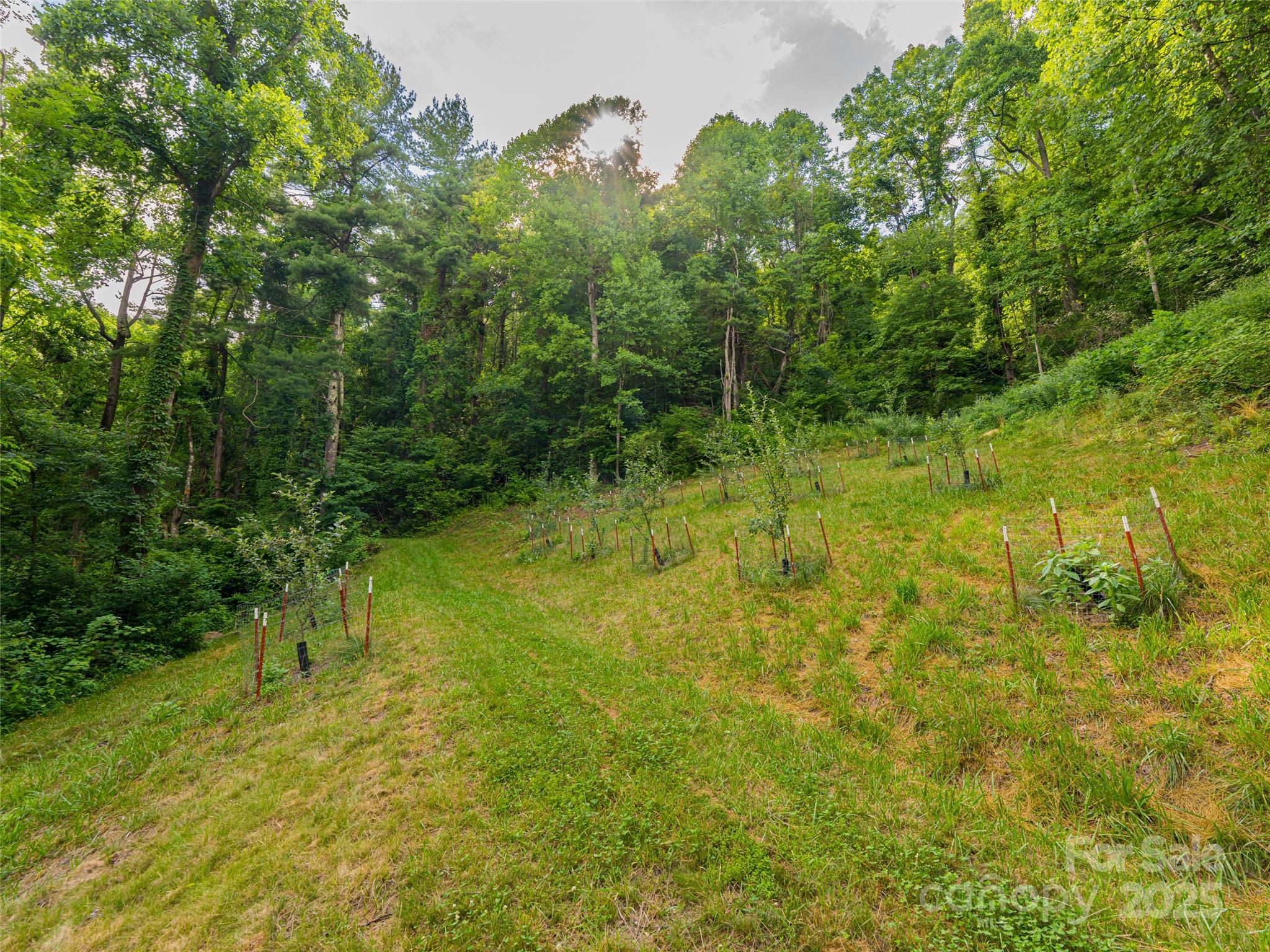 130 Bluff Creek Terrace — Candler