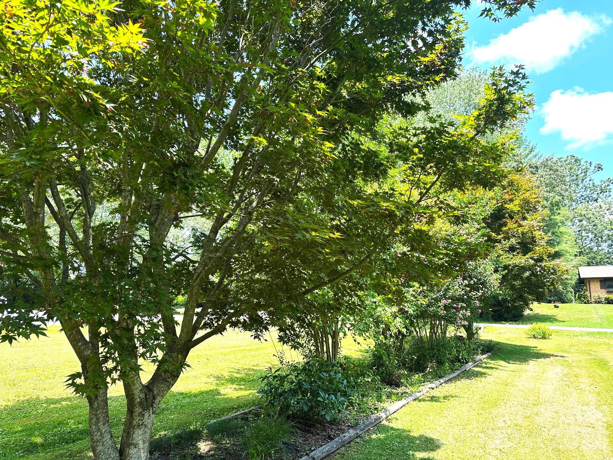 25 Norman Road — Fletcher