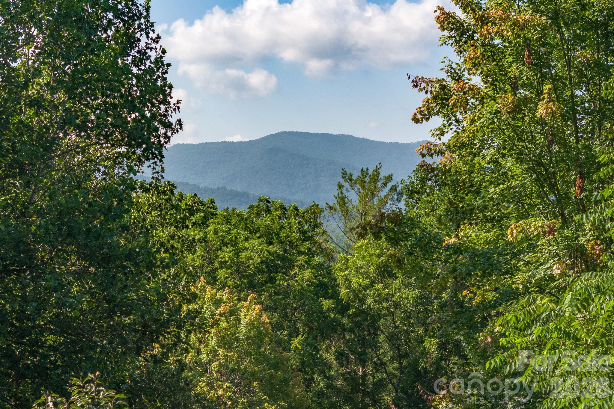 212 Blue Ridge Vista — Asheville