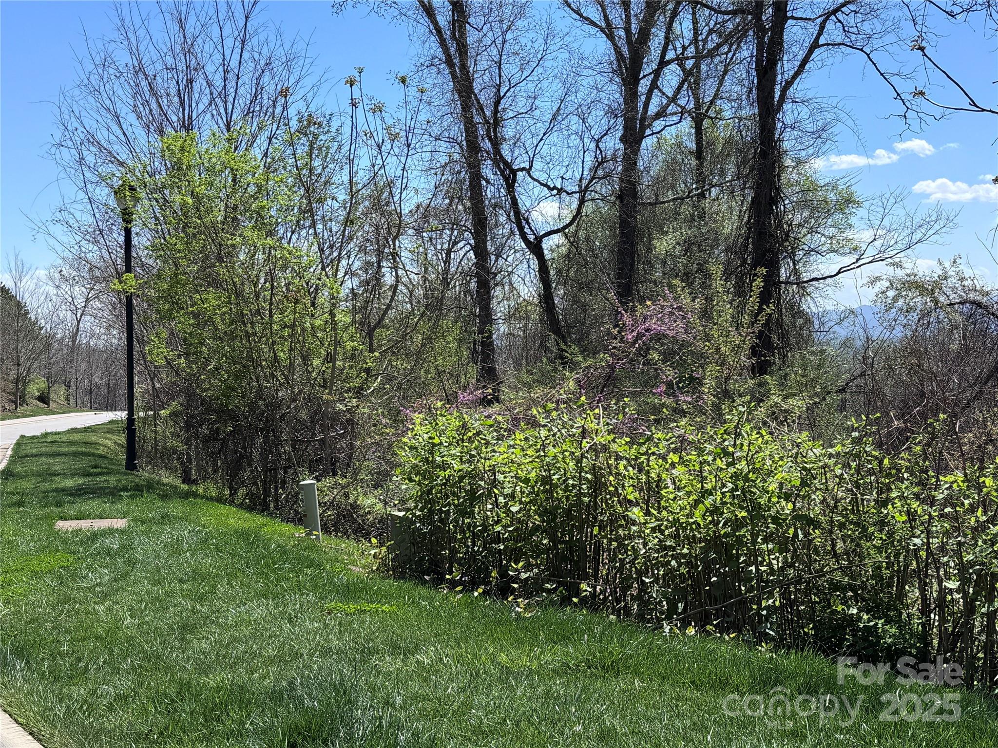 44 Samuel Ashe Drive #55 — Asheville