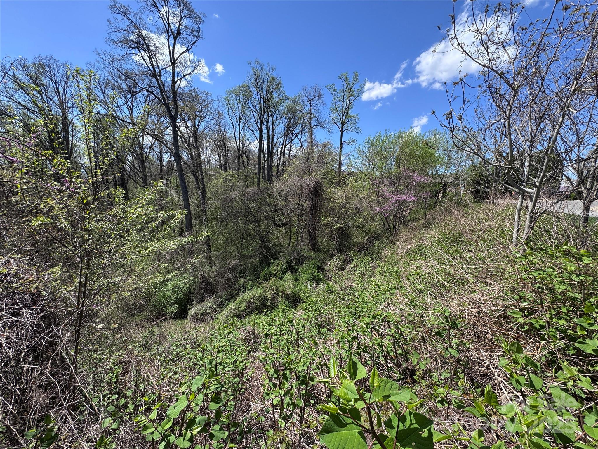 44 Samuel Ashe Drive #55 — Asheville