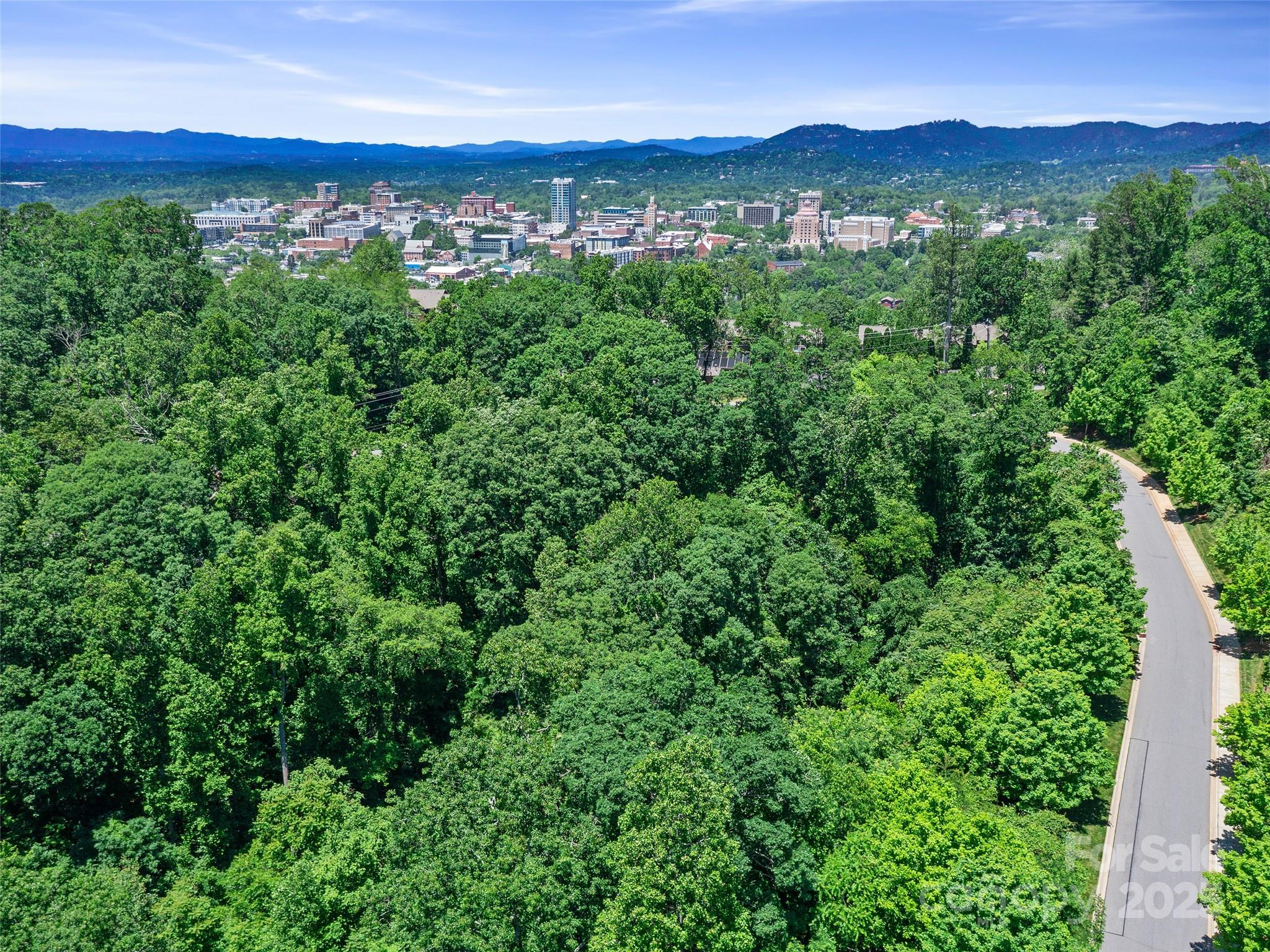 44 Samuel Ashe Drive #55 — Asheville