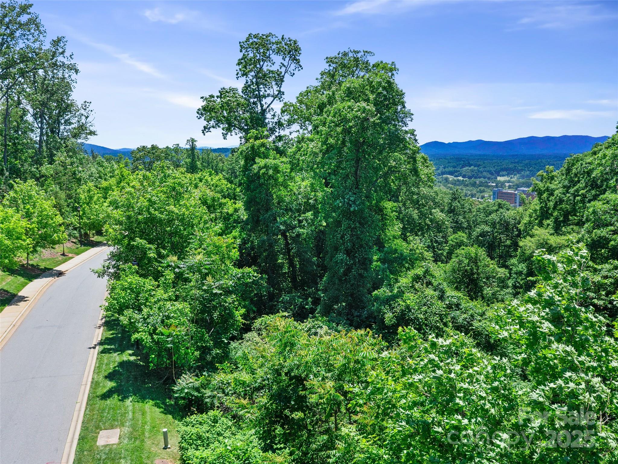 44 Samuel Ashe Drive #55 — Asheville
