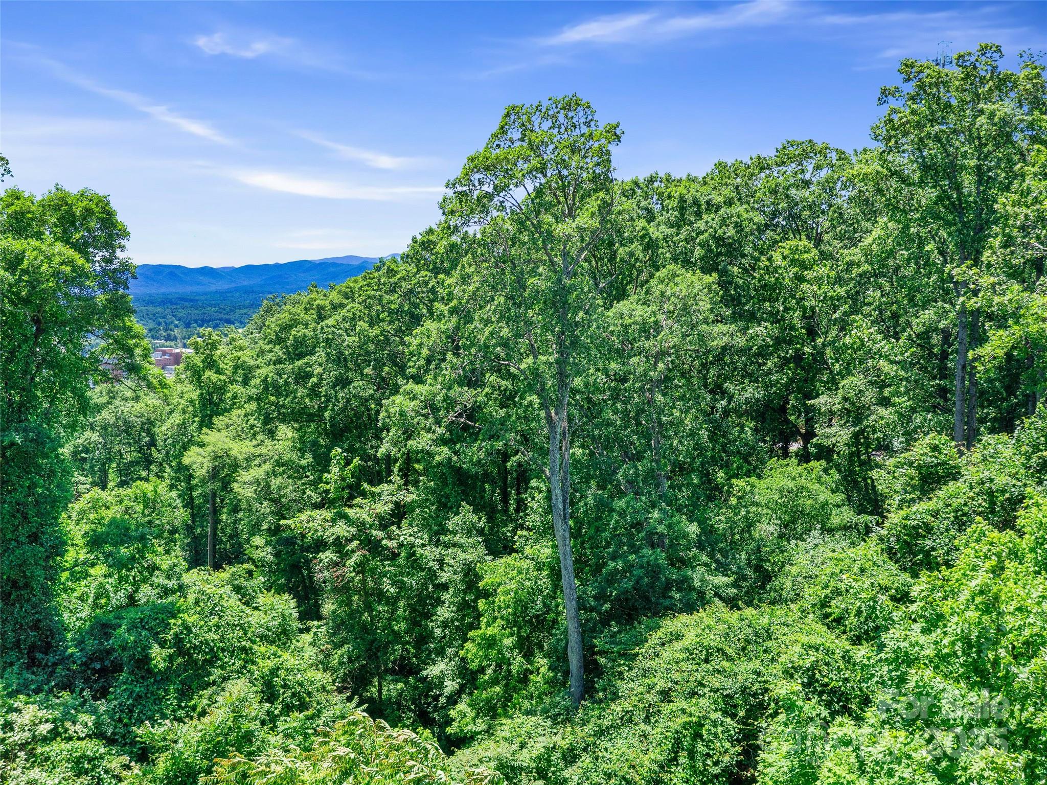 44 Samuel Ashe Drive #55 — Asheville