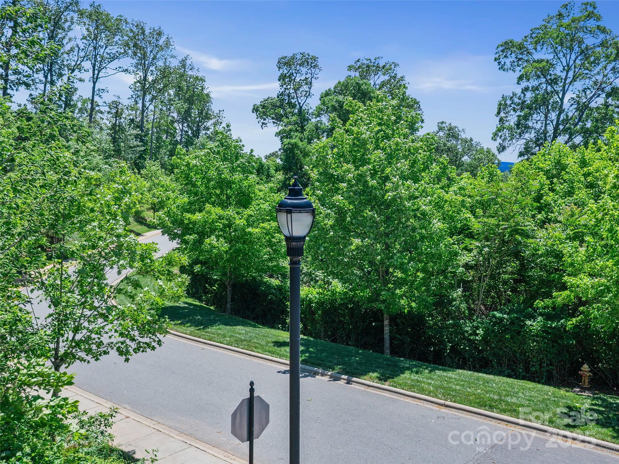 44 Samuel Ashe Drive #55 — Asheville