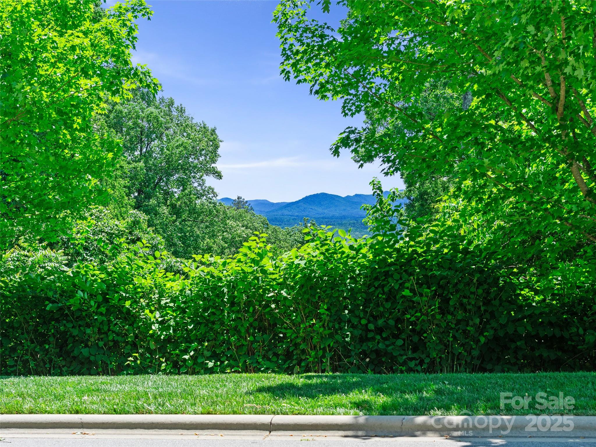 44 Samuel Ashe Drive #55 — Asheville