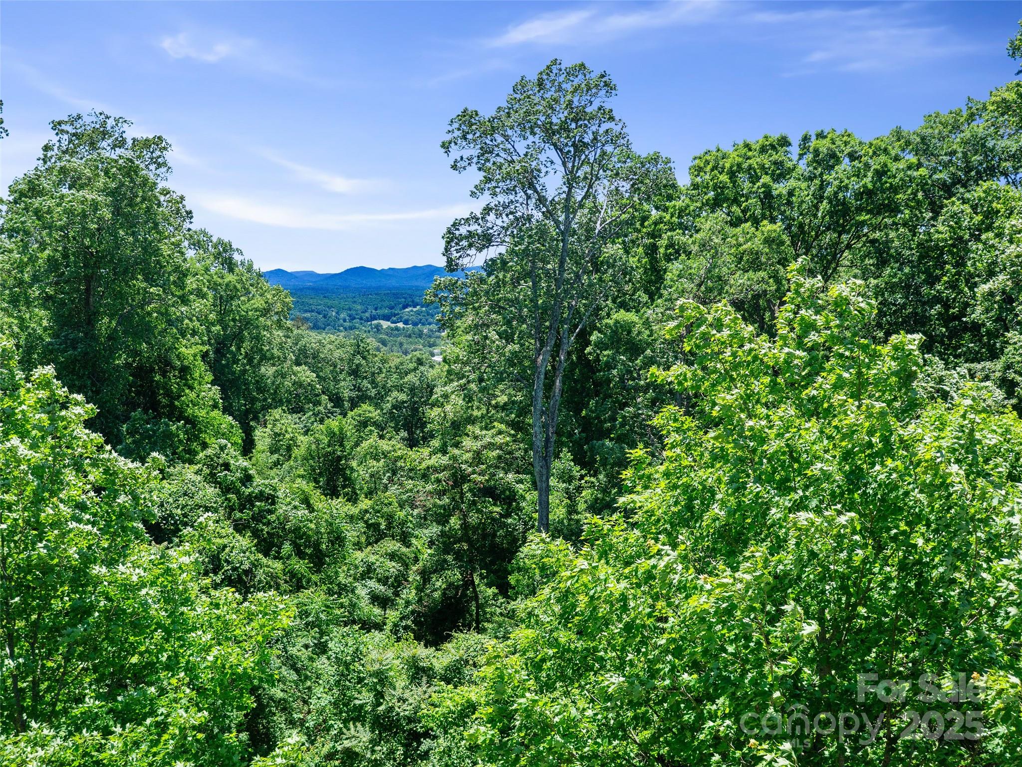 44 Samuel Ashe Drive #55 — Asheville
