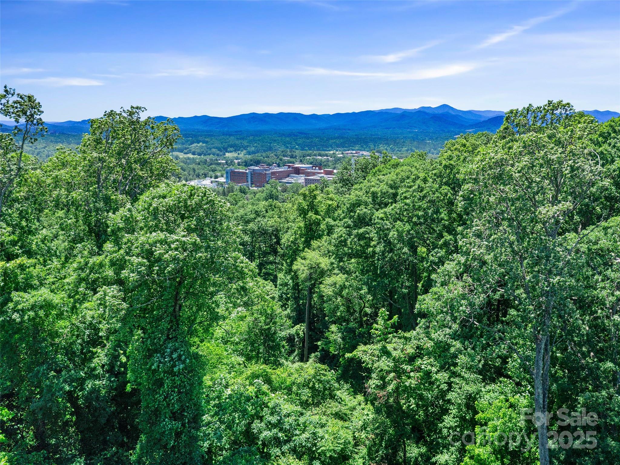 44 Samuel Ashe Drive #55 — Asheville