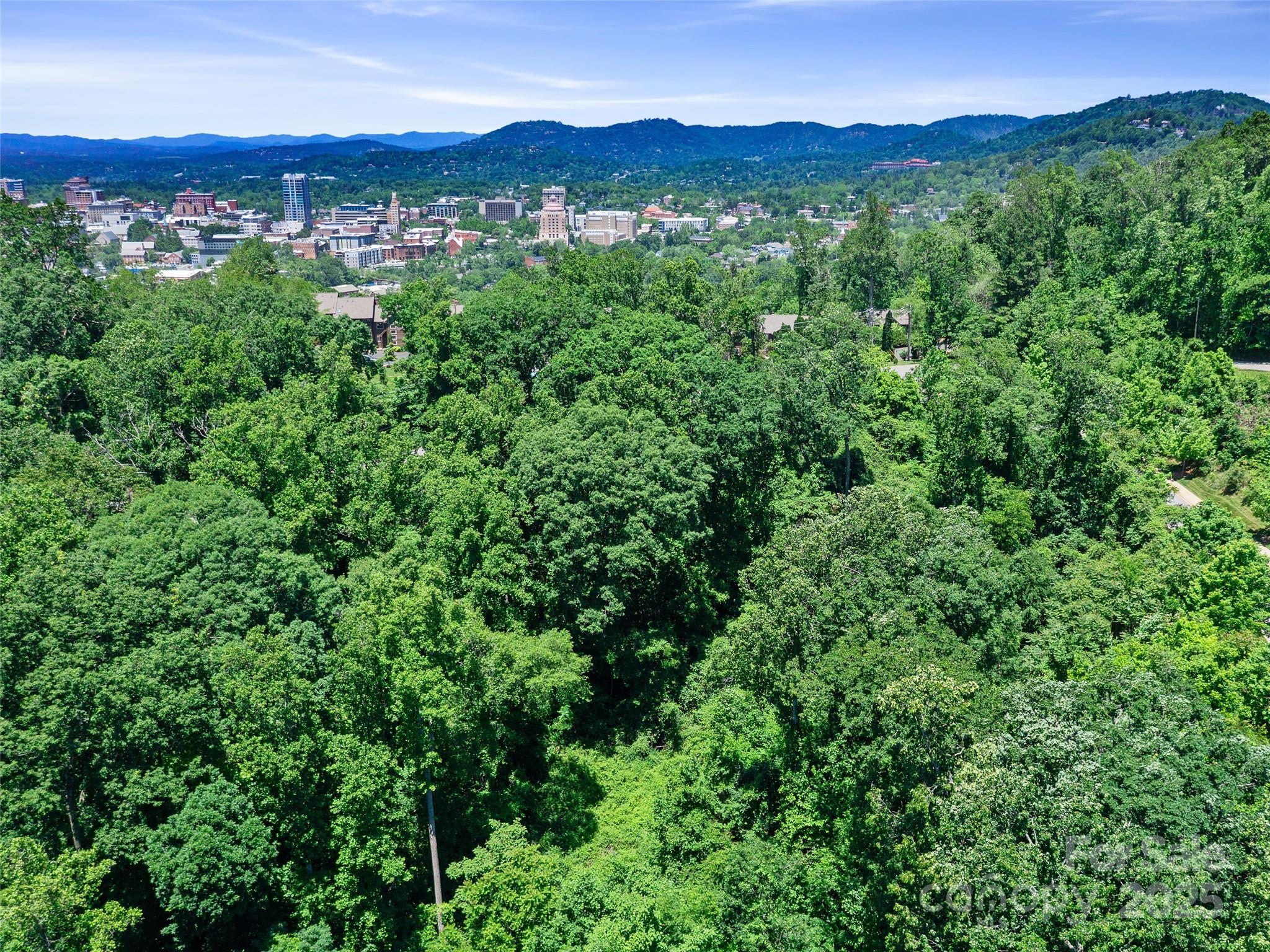 44 Samuel Ashe Drive #55 — Asheville
