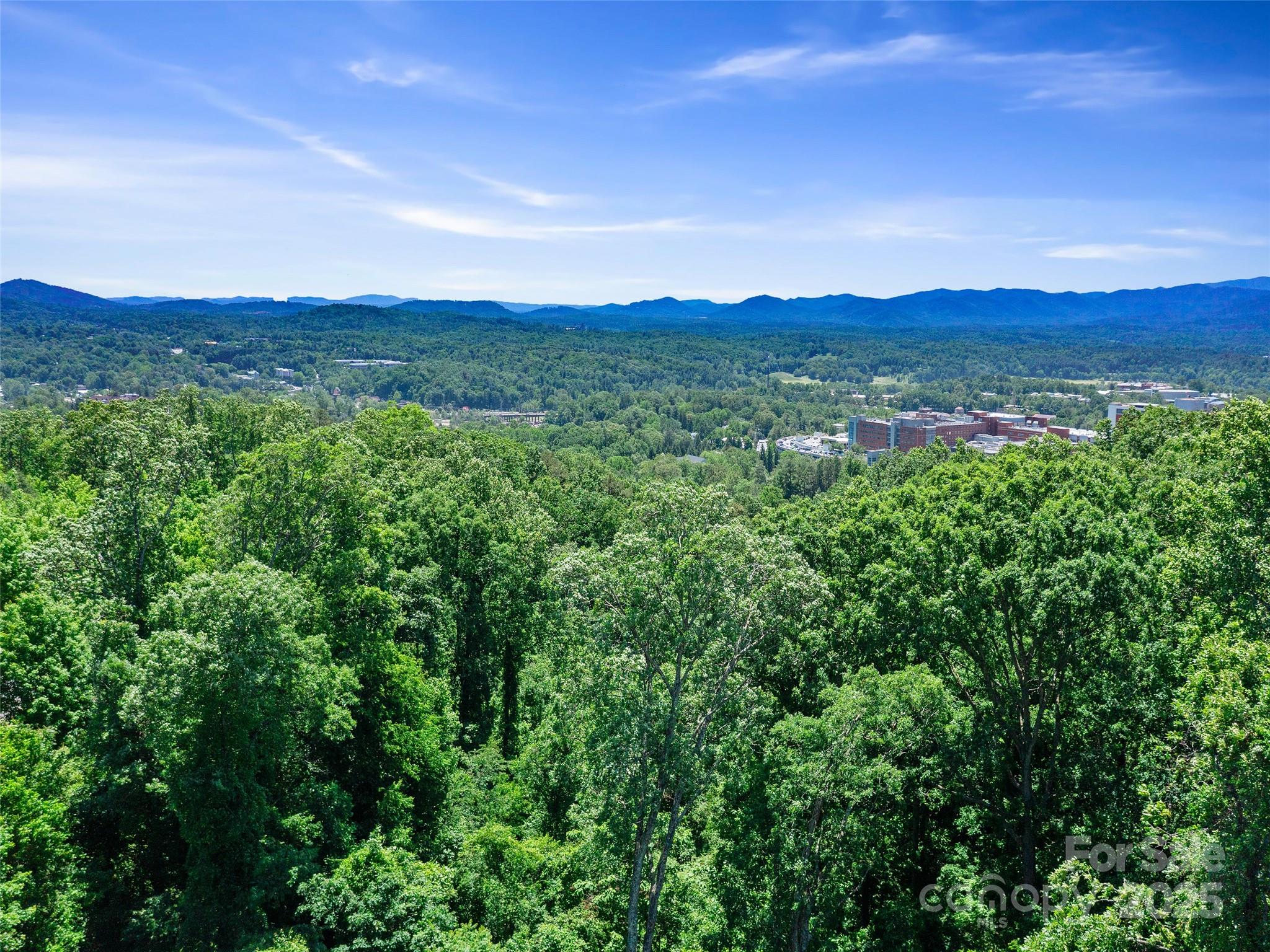 44 Samuel Ashe Drive #55 — Asheville
