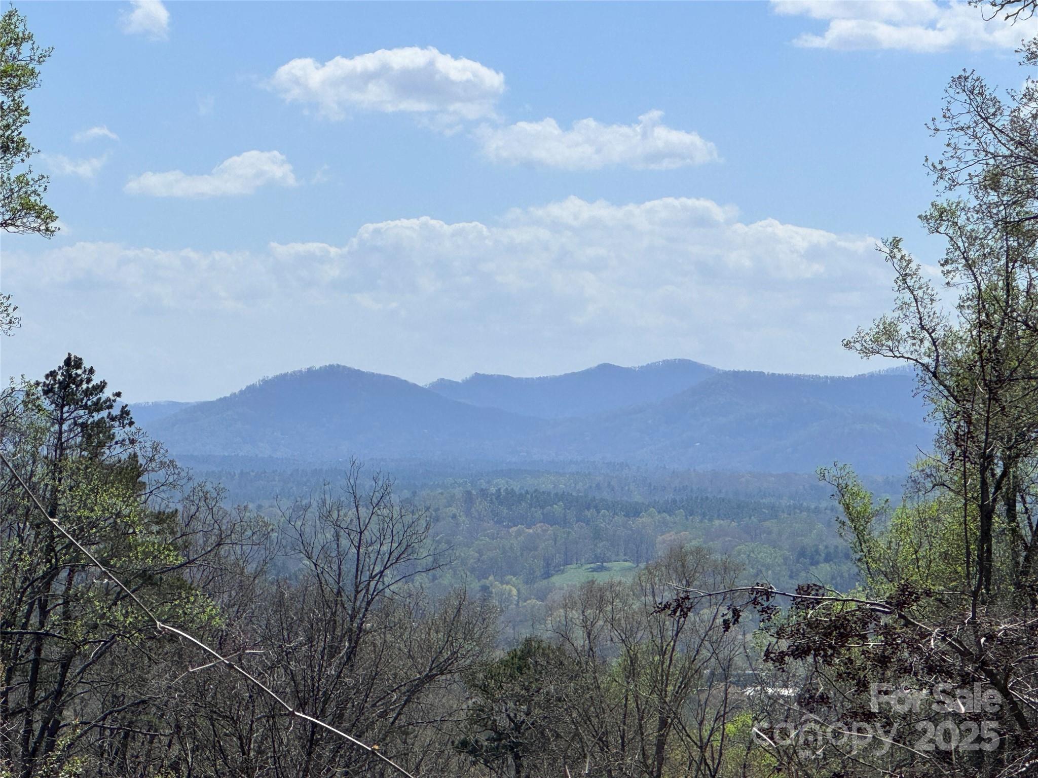 44 Samuel Ashe Drive #55 — Asheville