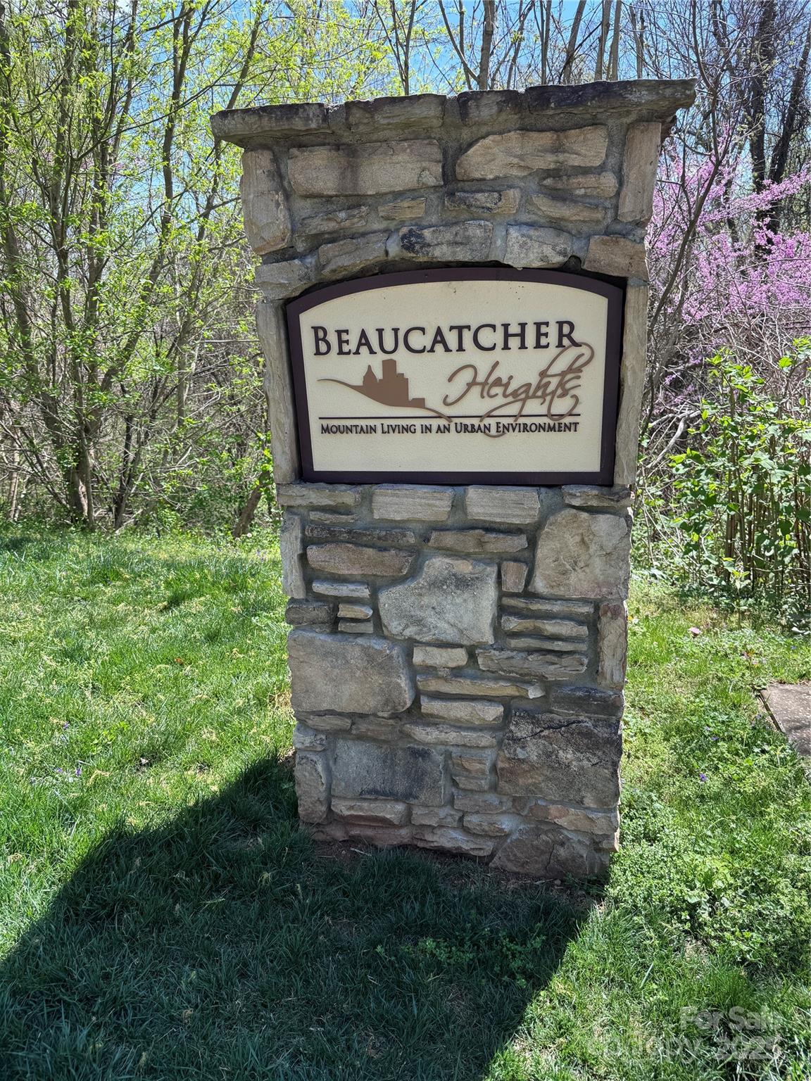 44 Samuel Ashe Drive #55 — Asheville