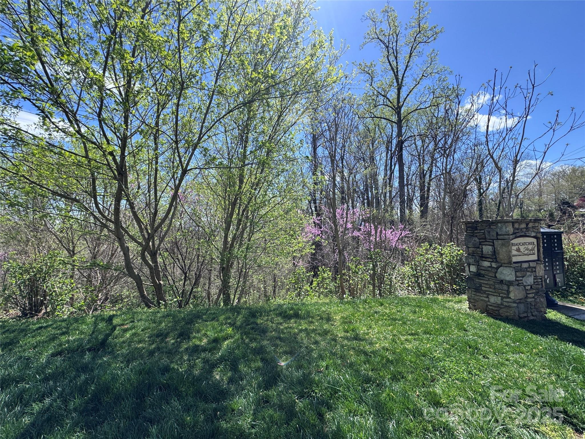 44 Samuel Ashe Drive #55 — Asheville