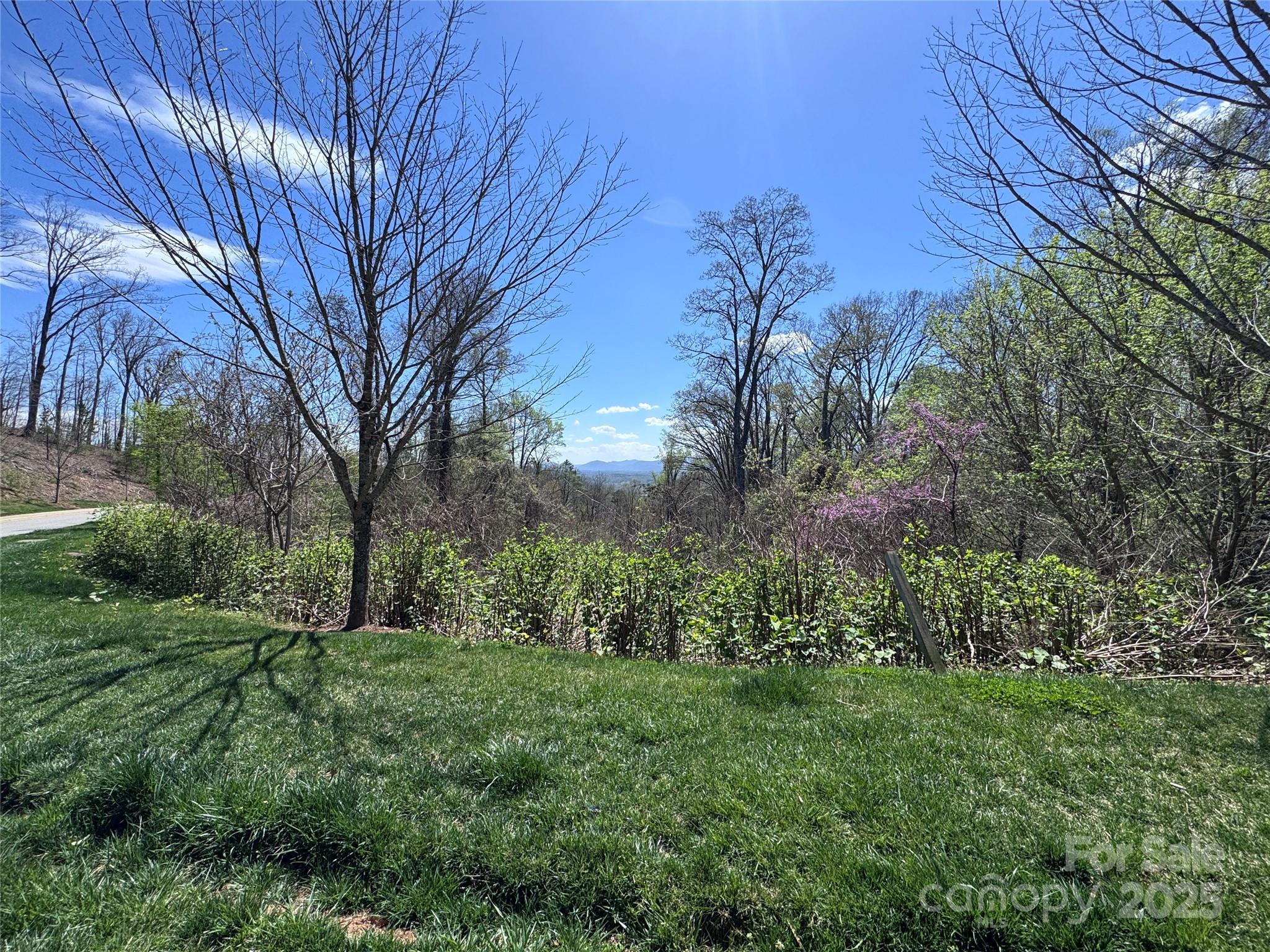 44 Samuel Ashe Drive #55 — Asheville
