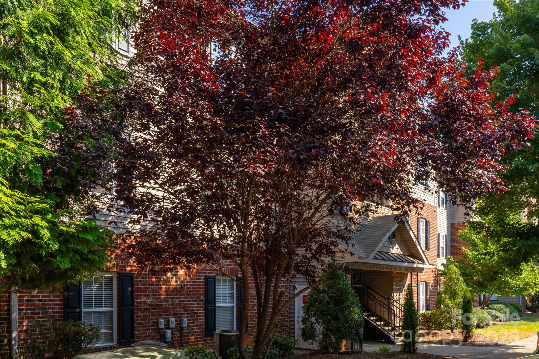 332 Appeldoorn Circle — Asheville