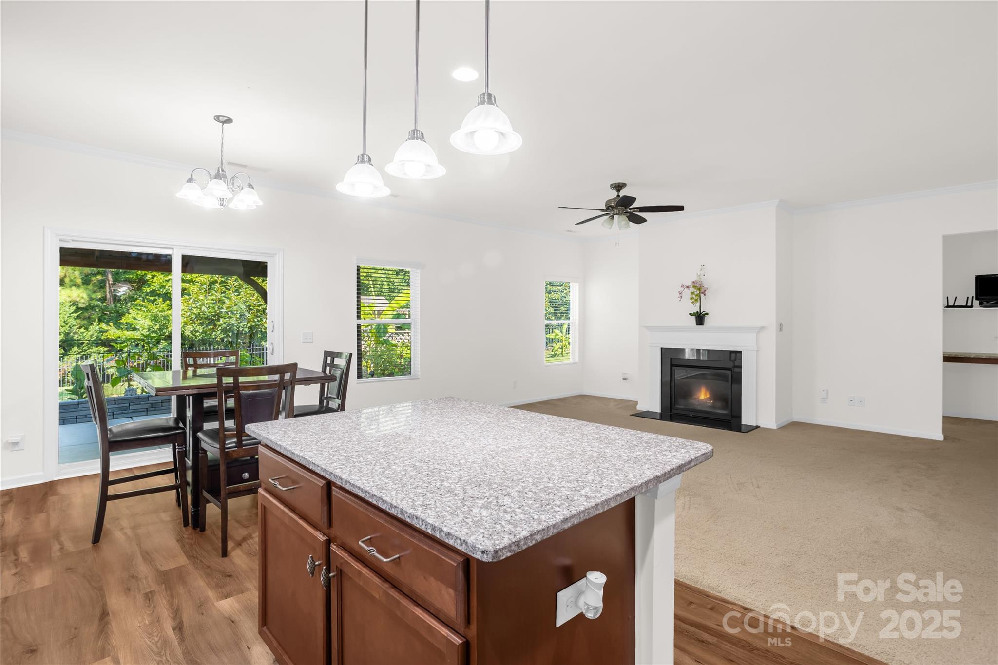 13516 Mallard Lake Road — Charlotte