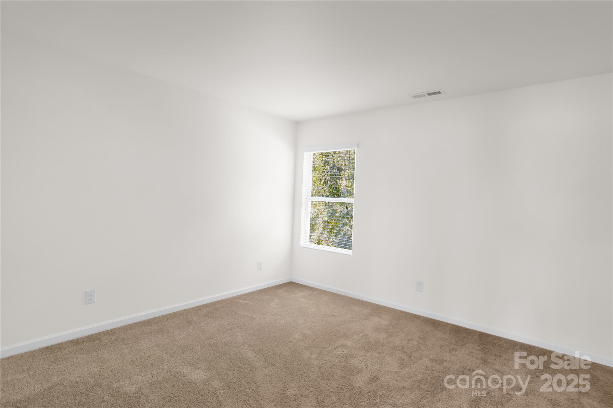 13516 Mallard Lake Road — Charlotte