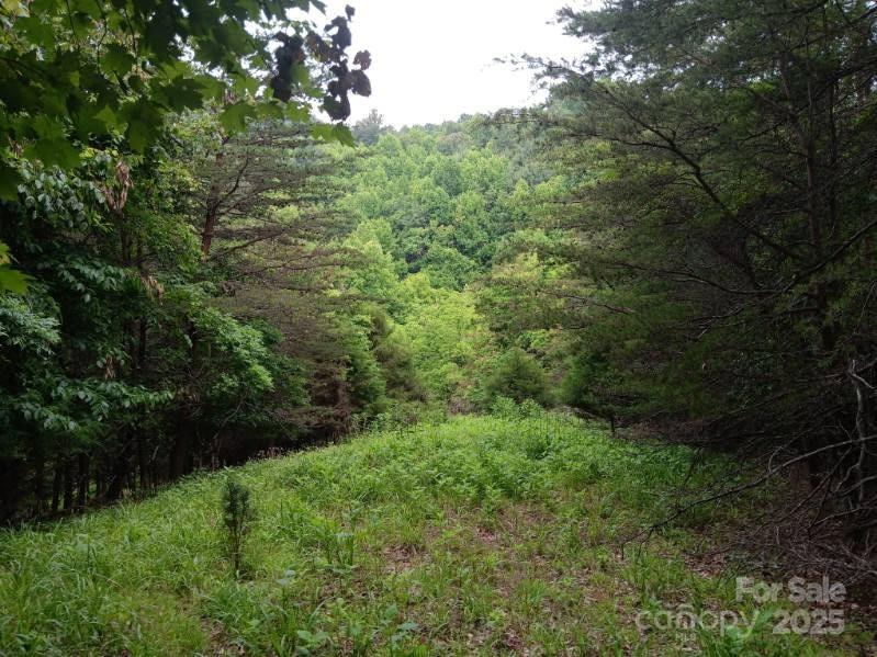 2255 NC Hwy 268 Highway W — Wilkesboro