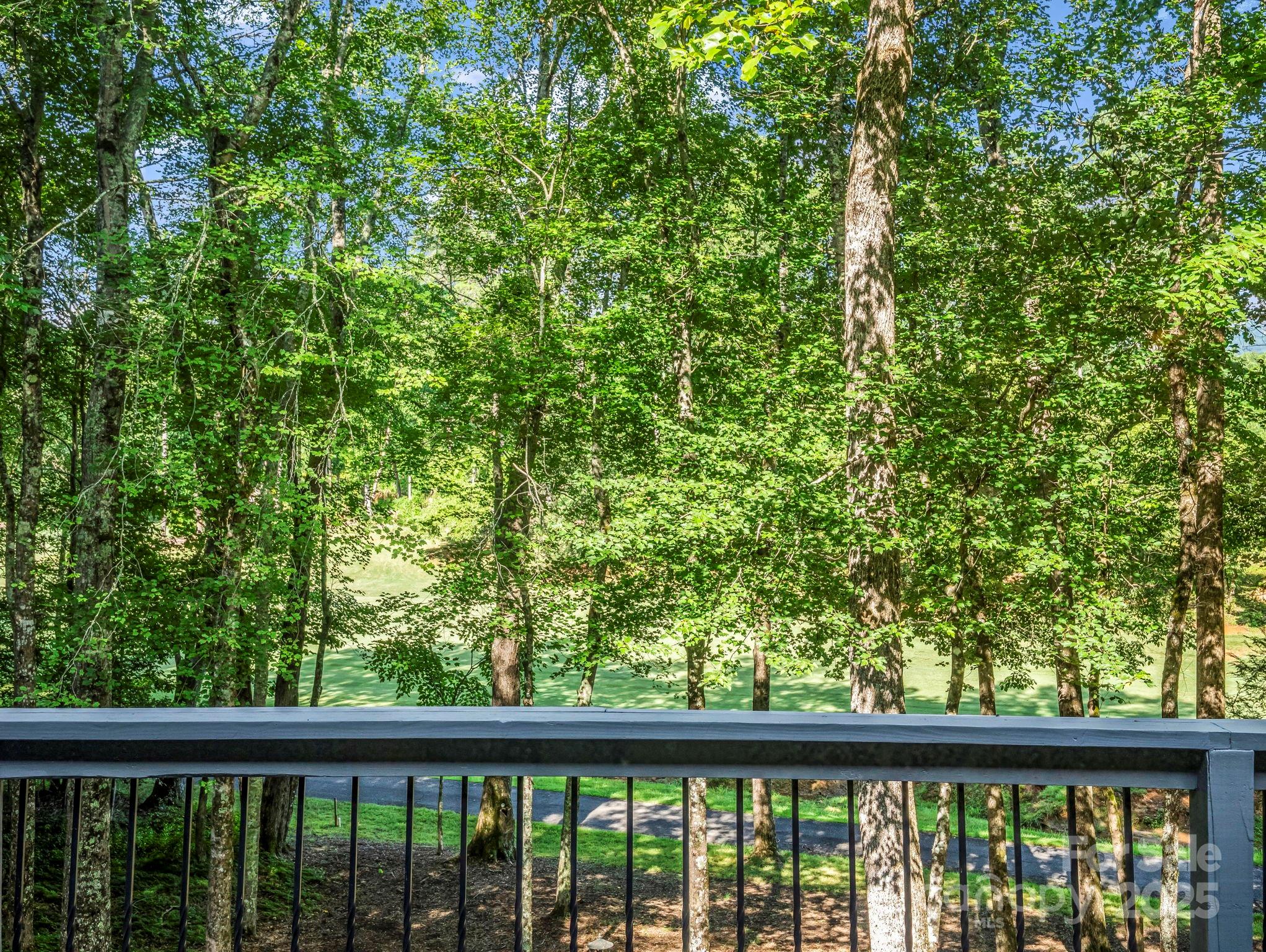 193 Downing Place #36 (MBL 539 5 38) — Lake Lure