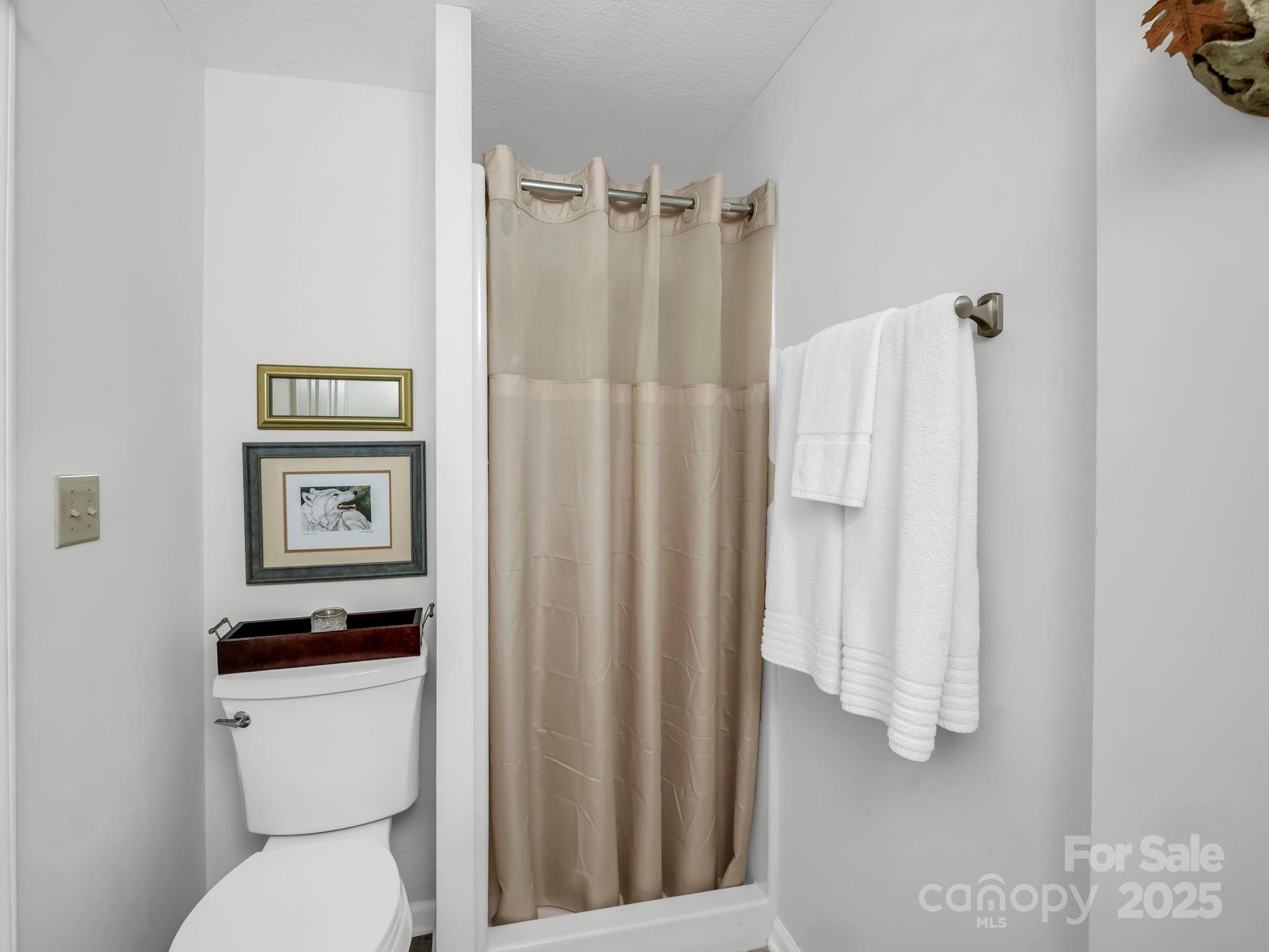 193 Downing Place #36 (MBL 539 5 38) — Lake Lure