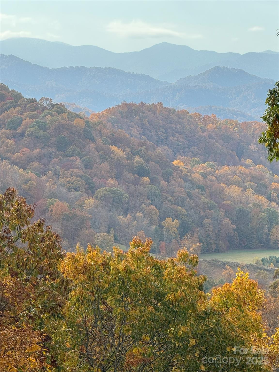 2311 Old Mountain Road — Mars Hill