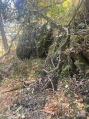 530 Rebel Ridge Road — Marshall