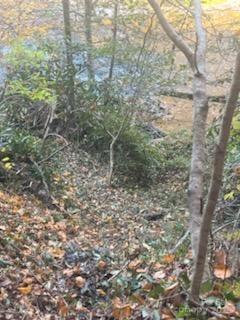 530 Rebel Ridge Road — Marshall