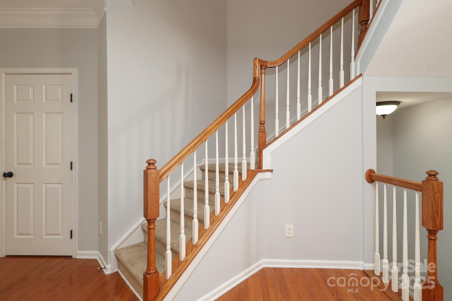 729 Naramore Street — Davidson