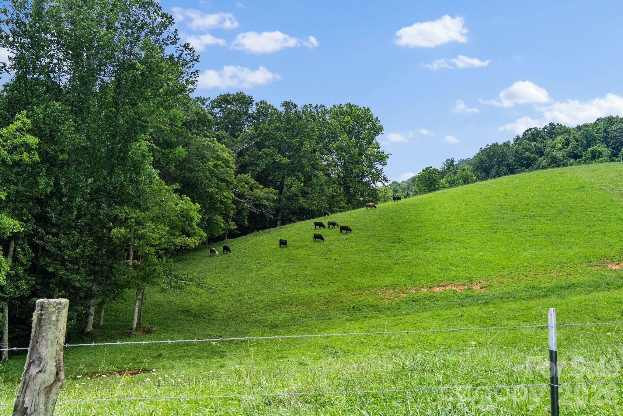 1045 & 1047 Graham Road — Marshall