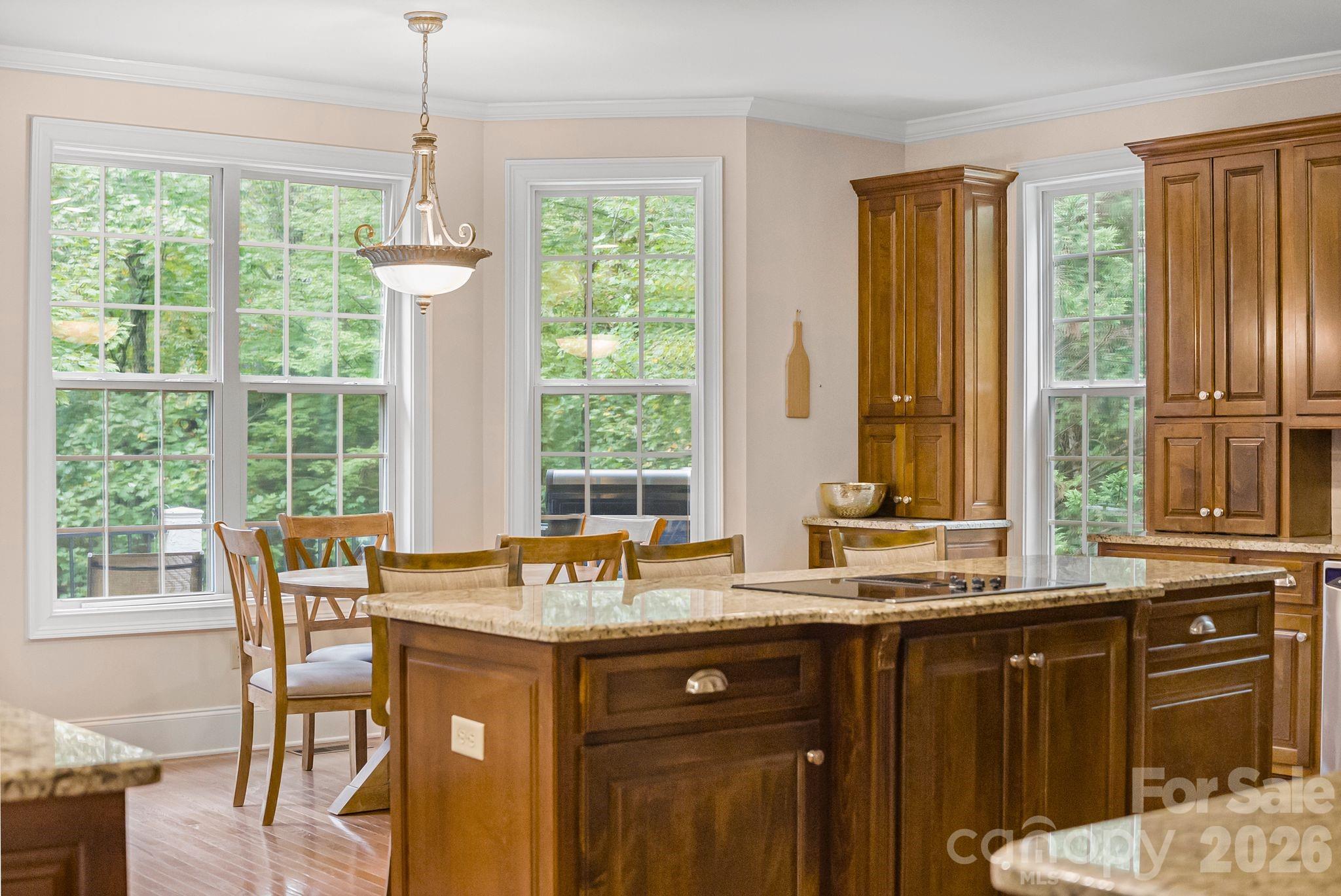 45 Brown Bear Ridge Trail — Zirconia