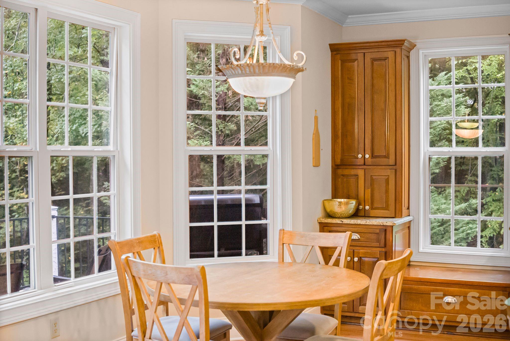 45 Brown Bear Ridge Trail — Zirconia