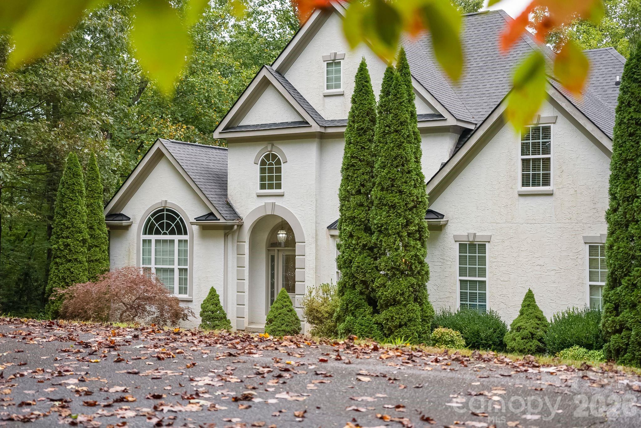 45 Brown Bear Ridge Trail — Zirconia