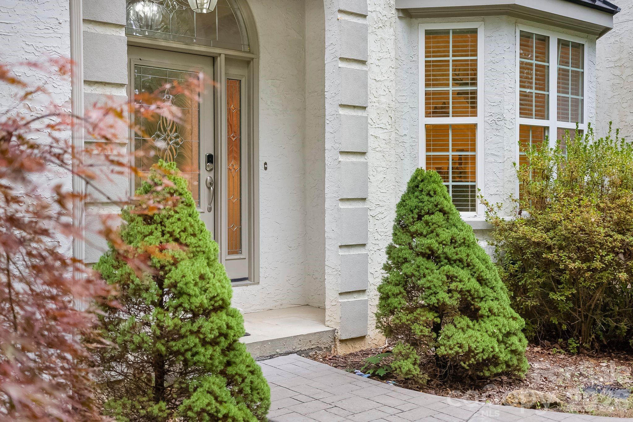 45 Brown Bear Ridge Trail — Zirconia