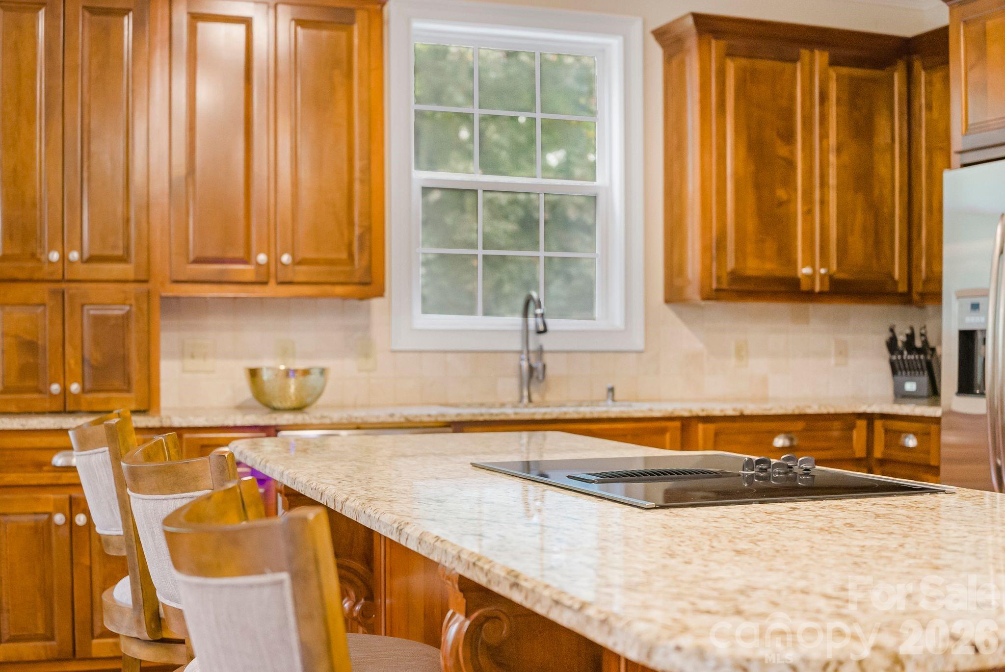 45 Brown Bear Ridge Trail — Zirconia