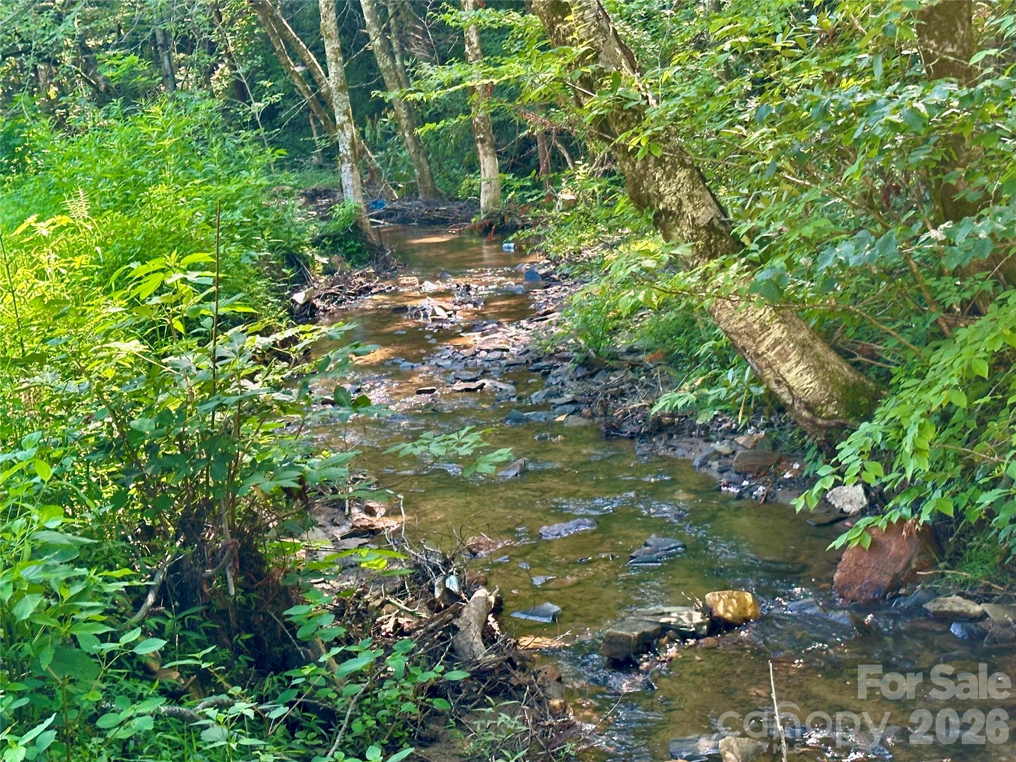 492 Chestnut Mountain Road — Spruce Pine