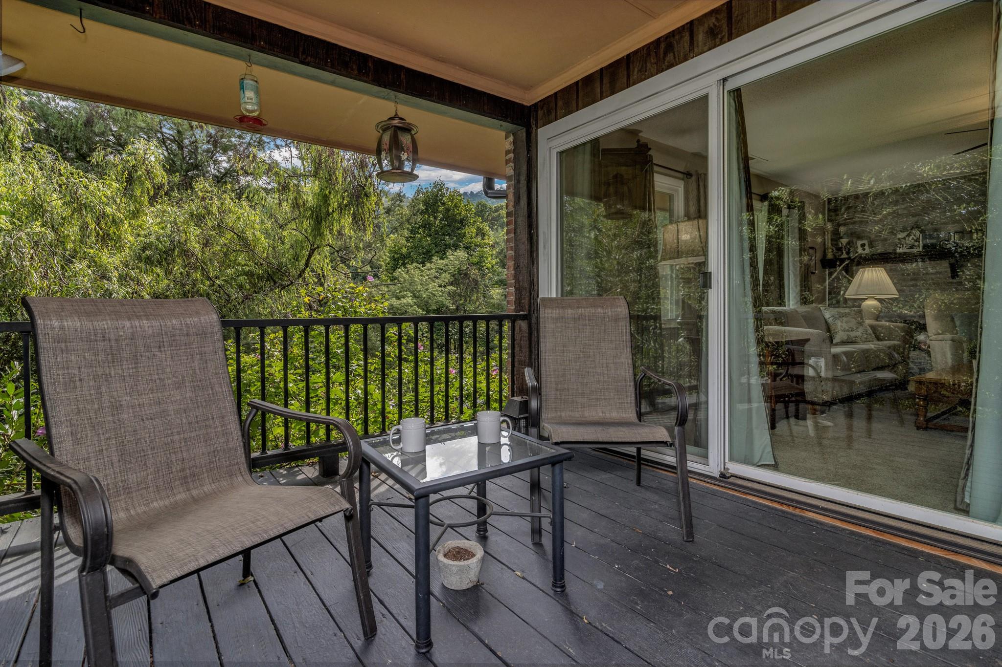 31 Mark Twain Road — Asheville
