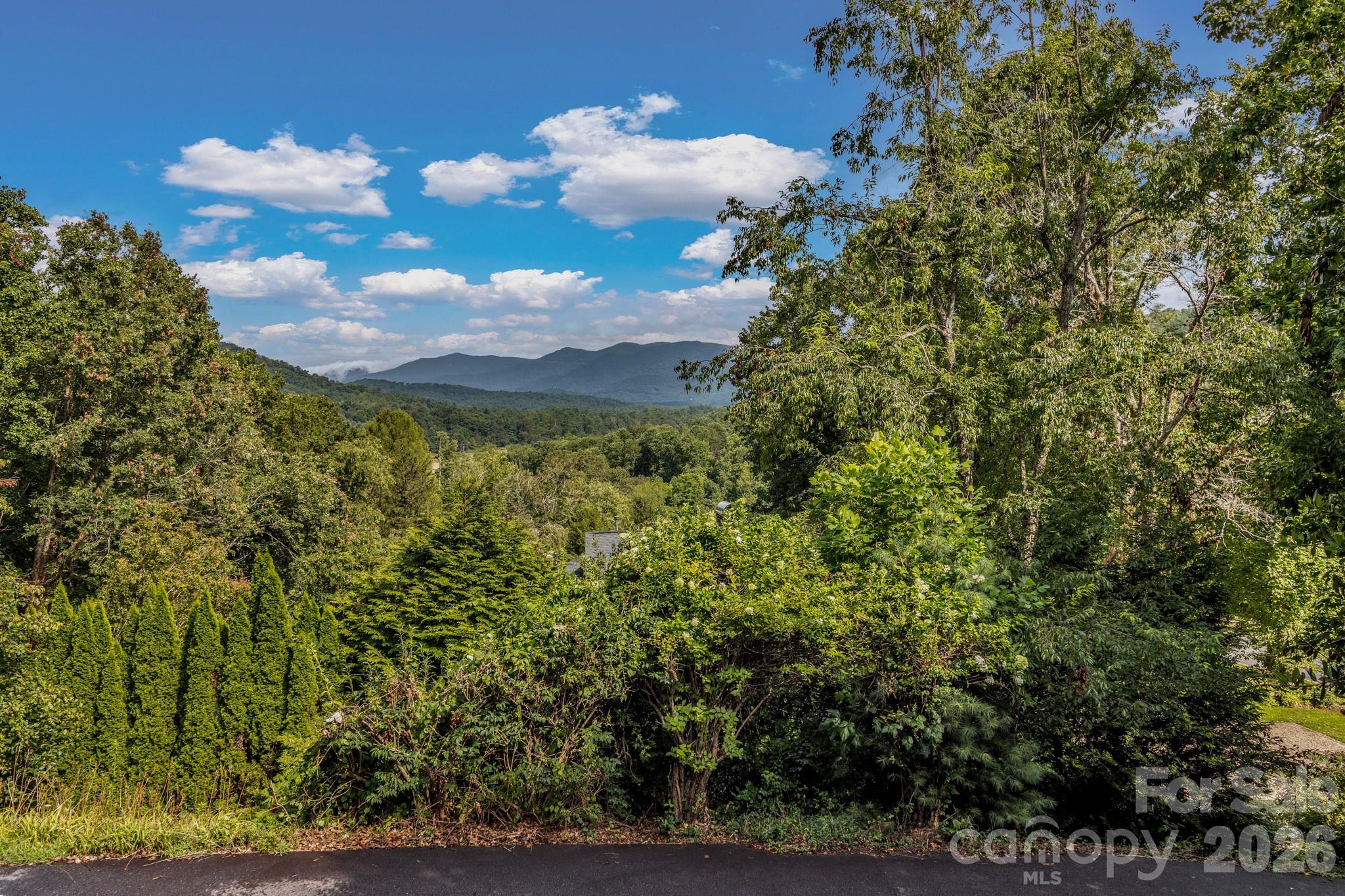 31 Mark Twain Road — Asheville