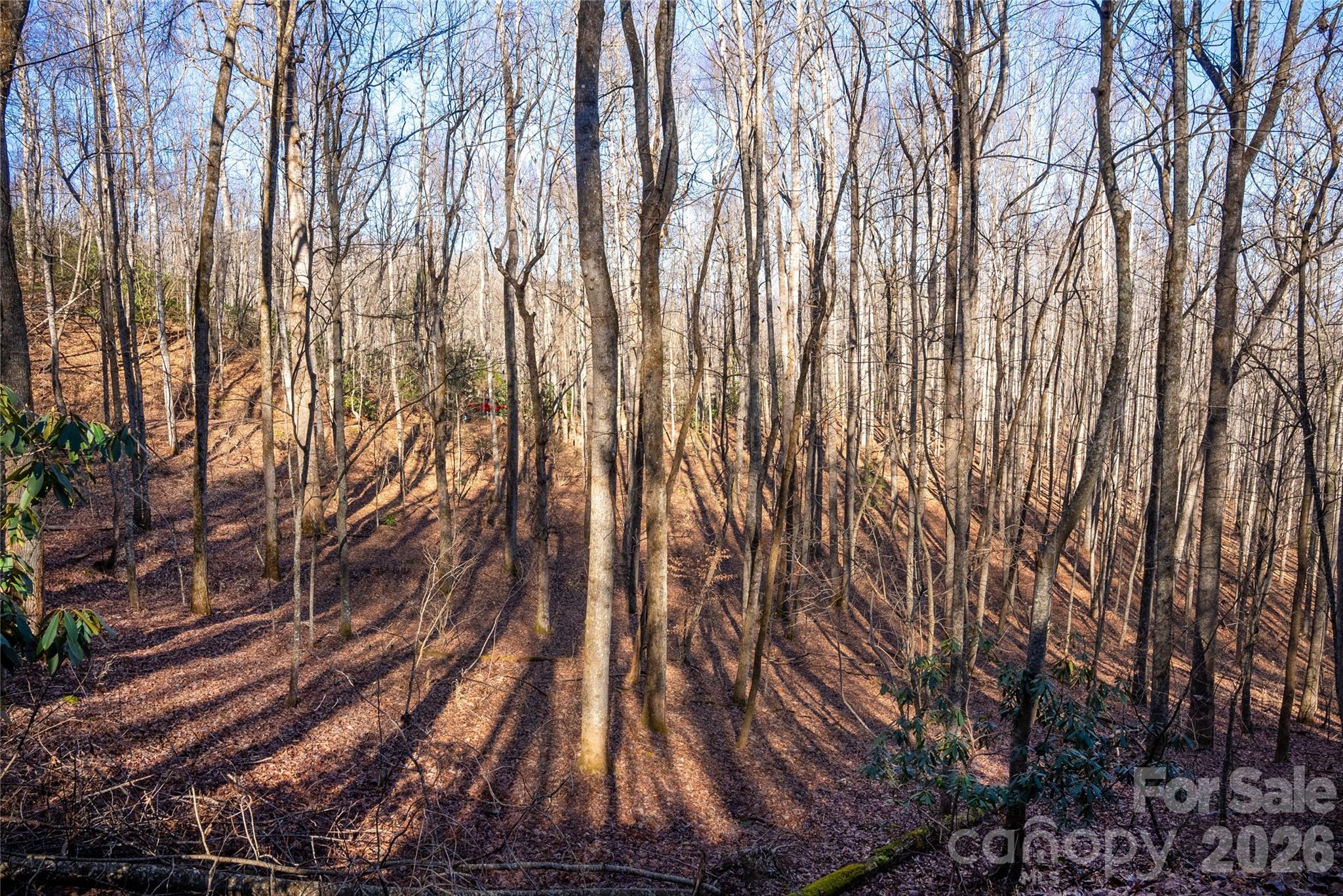 370 Moons Rest Lane — Brevard