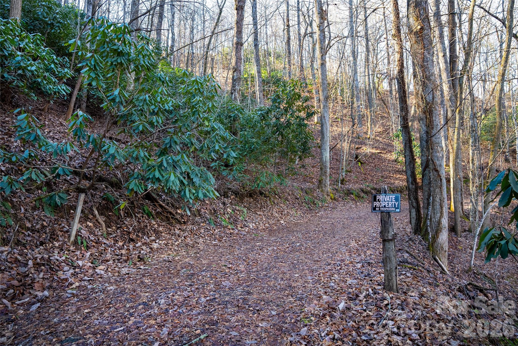 370 Moons Rest Lane — Brevard