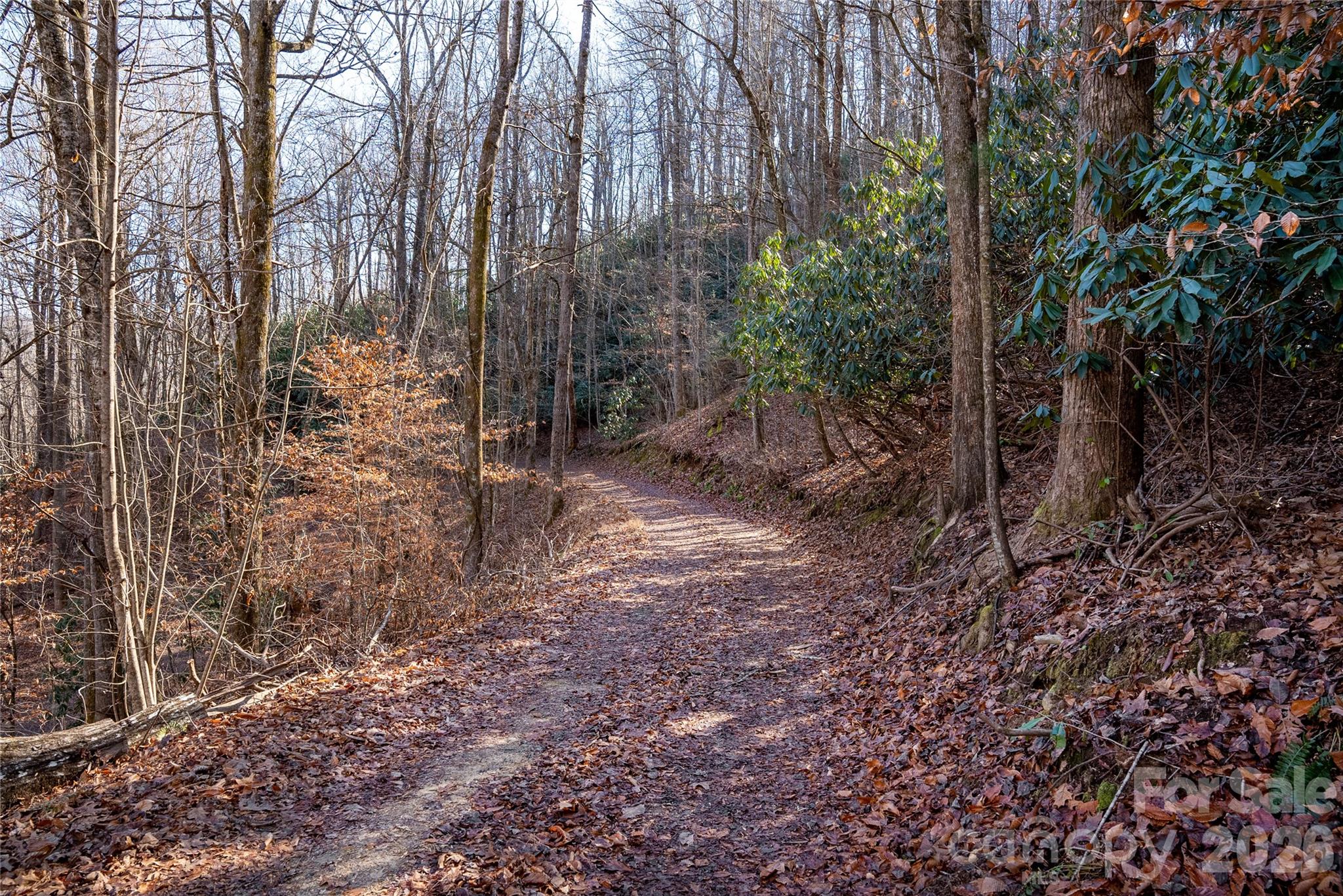 370 Moons Rest Lane — Brevard