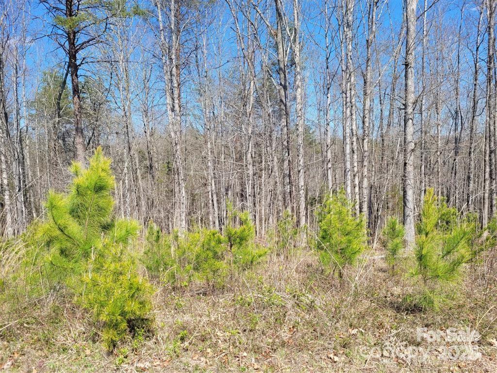 0 Boy Scout Road — Rutherfordton
