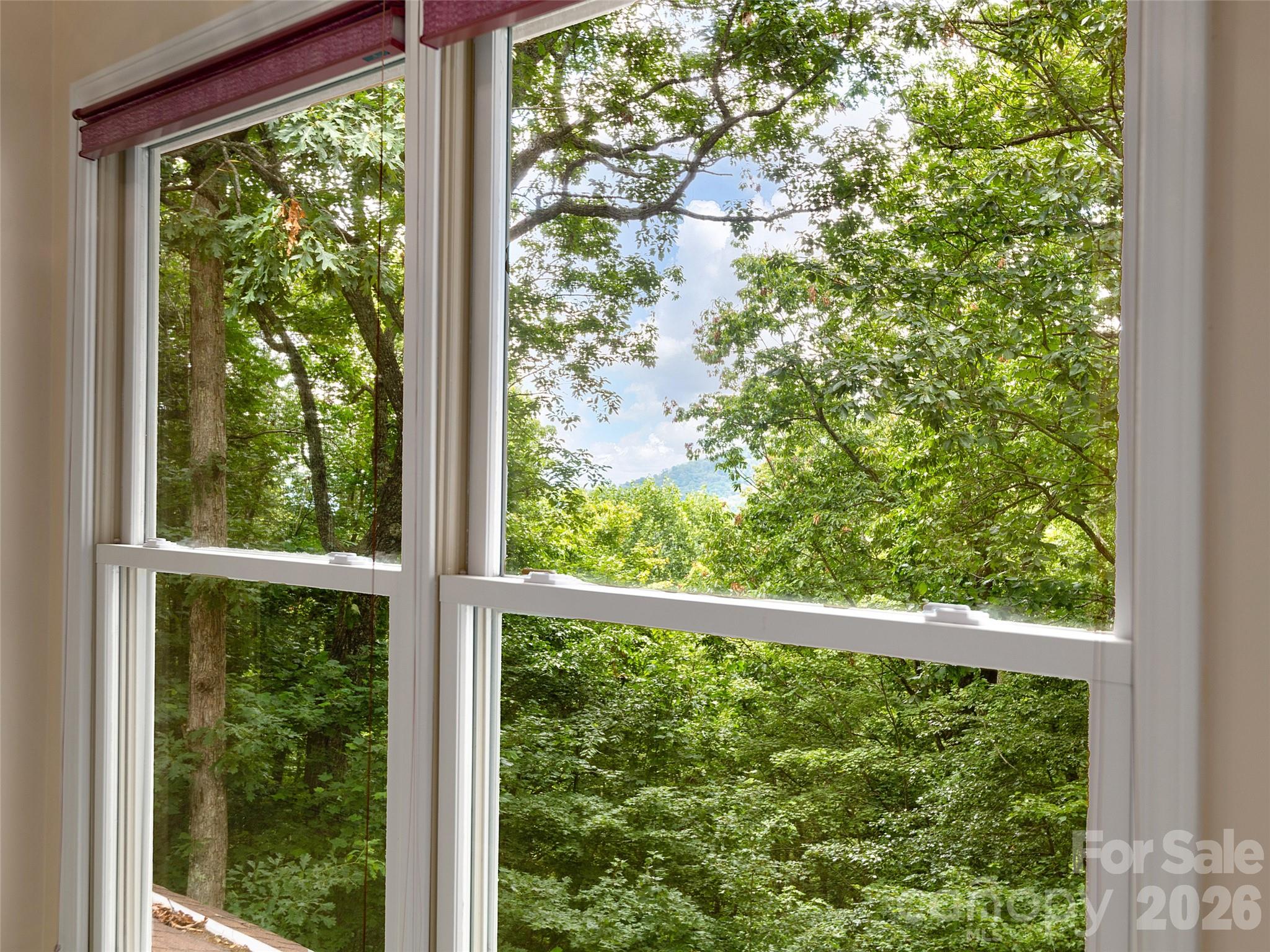 608 Upper Sondley Drive — Asheville