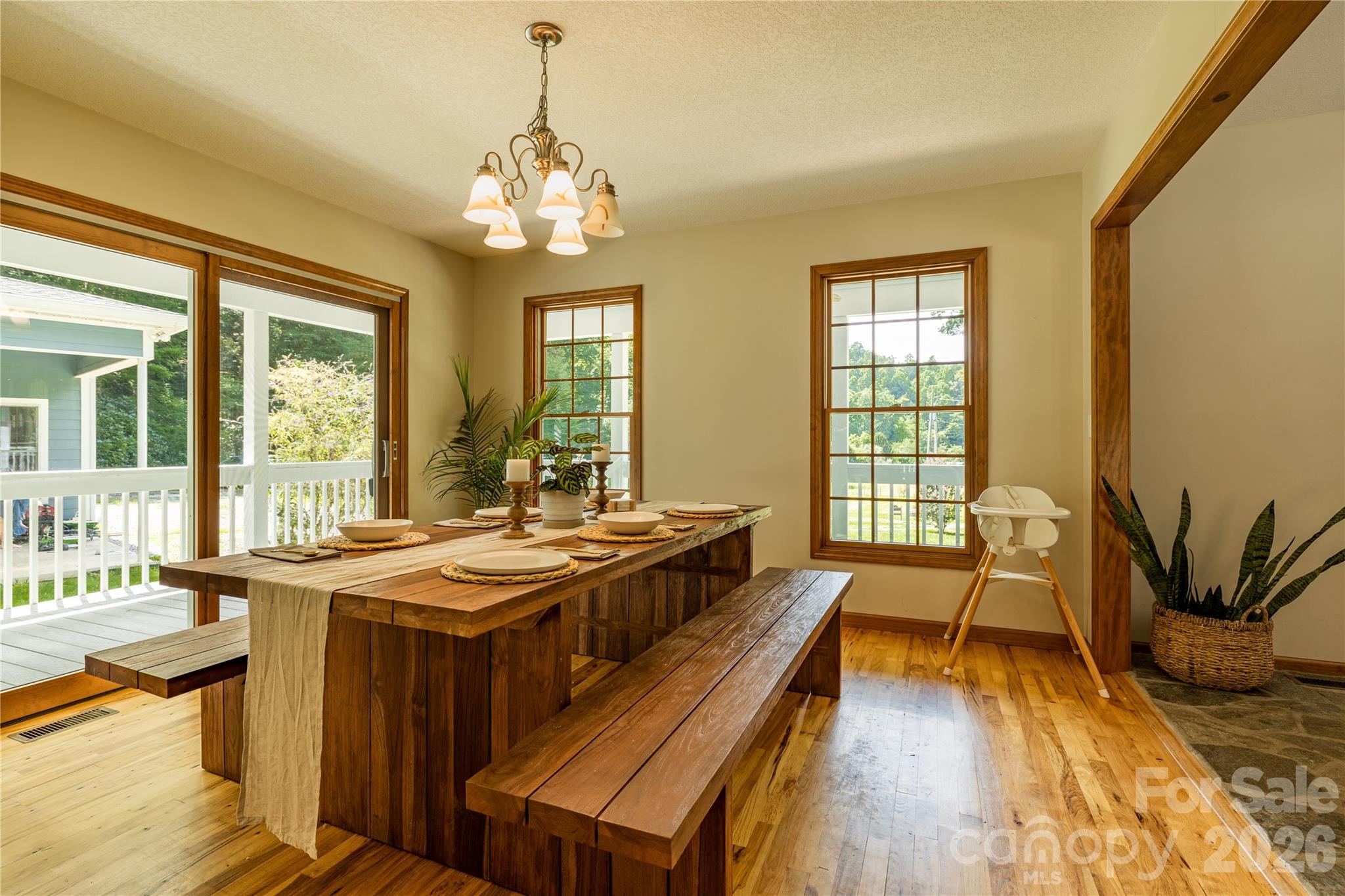 226 Wildcat Mountain Trail — Sylva