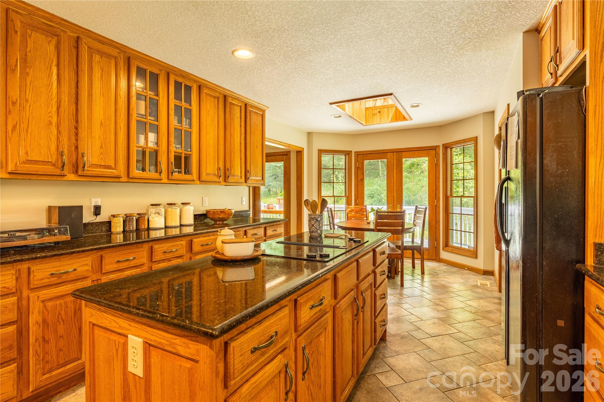 226 Wildcat Mountain Trail — Sylva