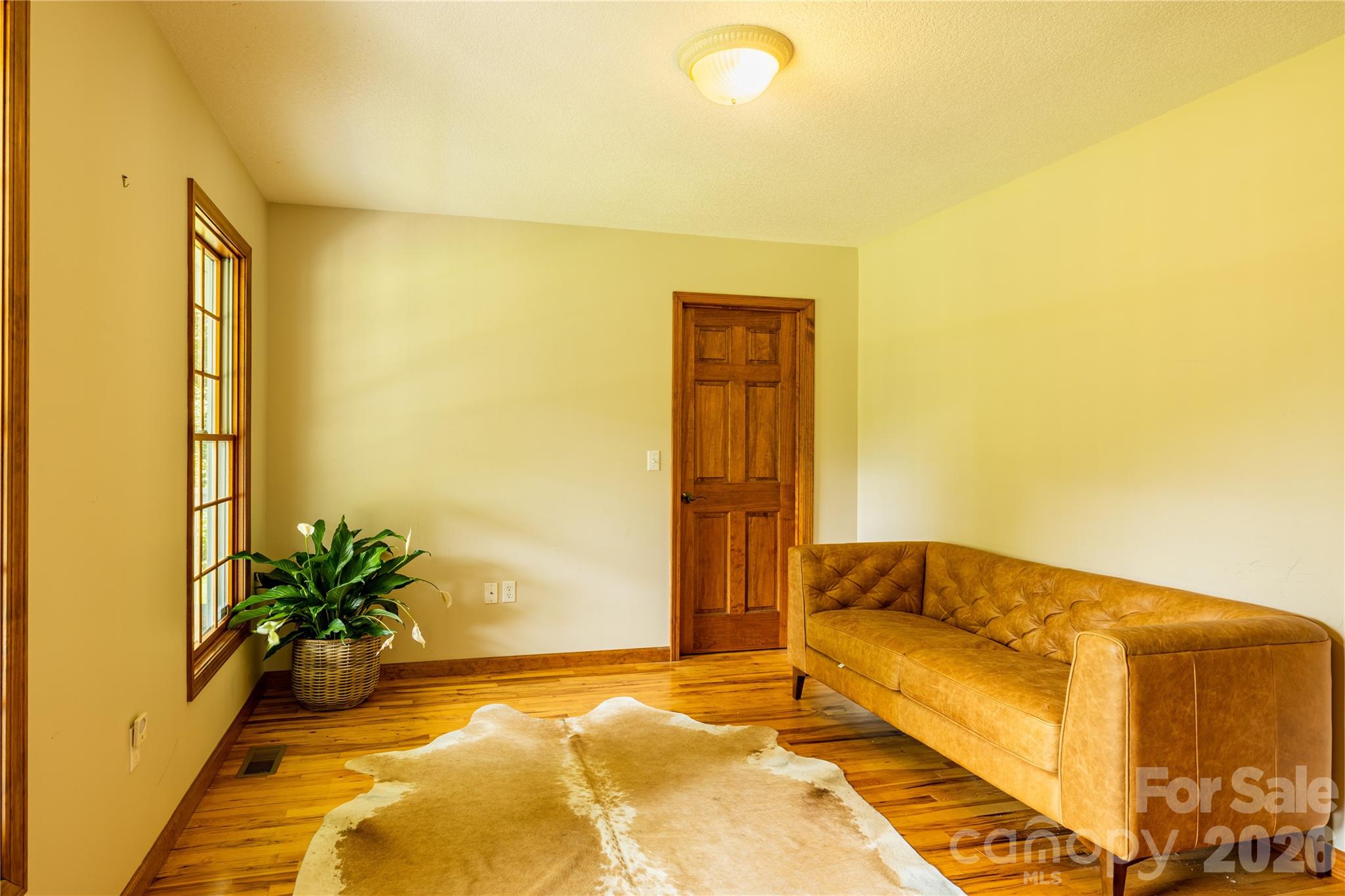 226 Wildcat Mountain Trail — Sylva