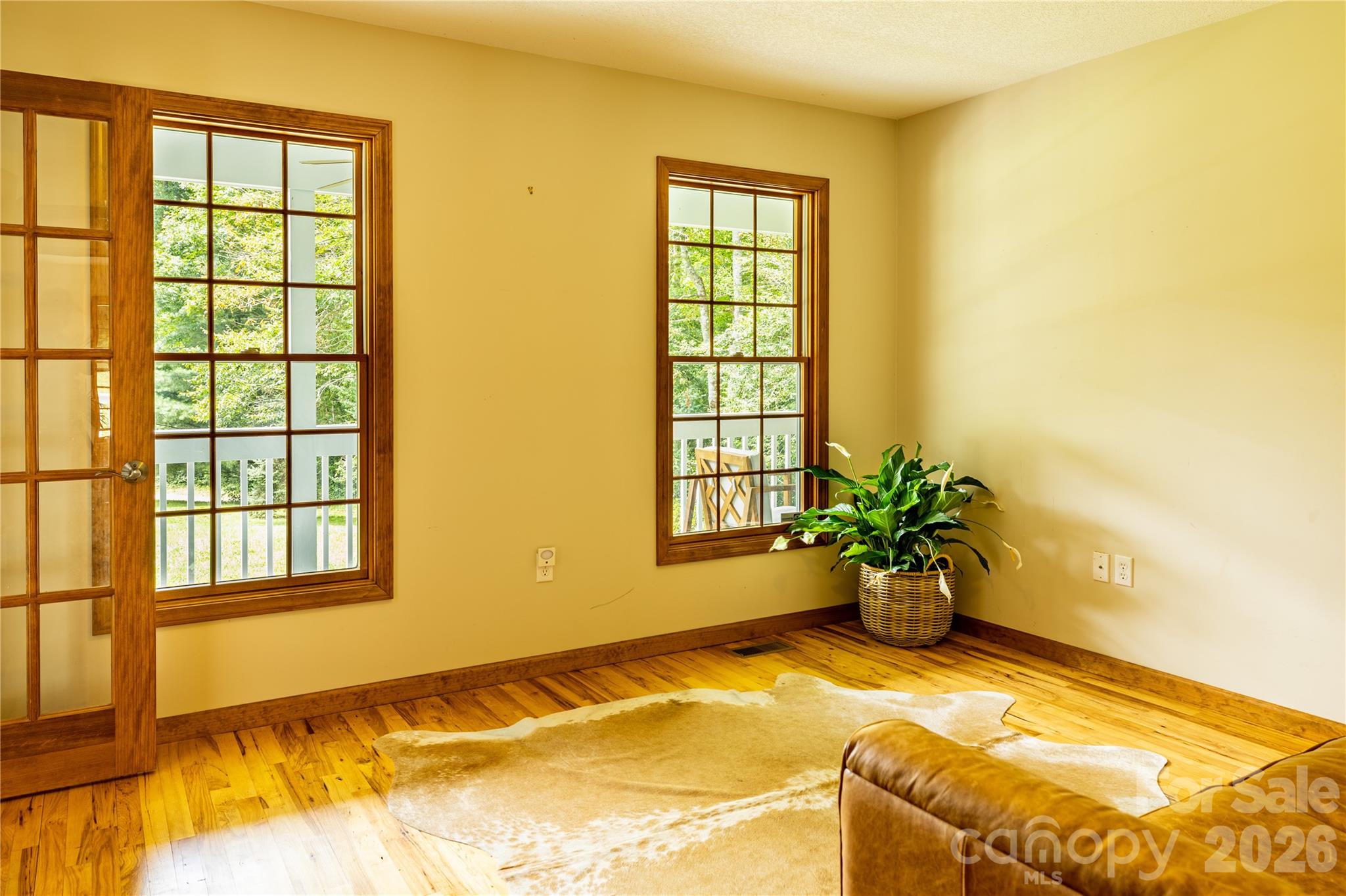 226 Wildcat Mountain Trail — Sylva